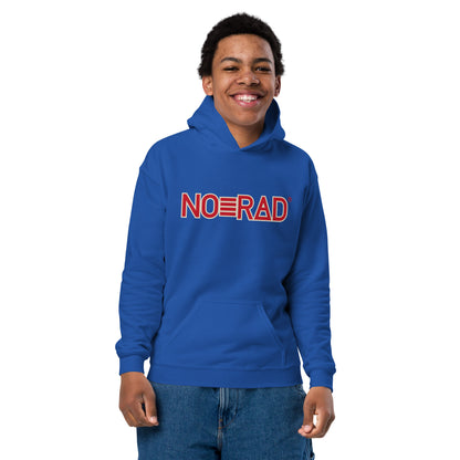 Youth heavy blend hoodie